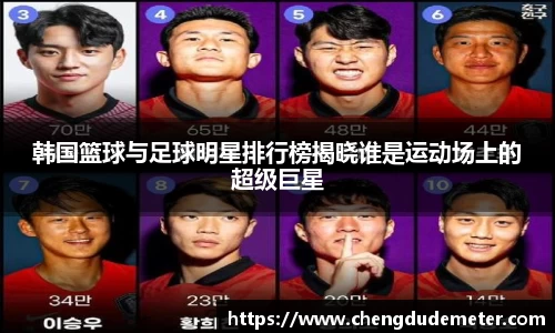 韩国篮球与足球明星排行榜揭晓谁是运动场上的超级巨星