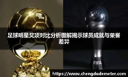 足球明星奖项对比分析图解揭示球员成就与荣誉差异