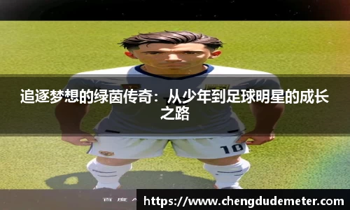 必一运动bsports官方网站